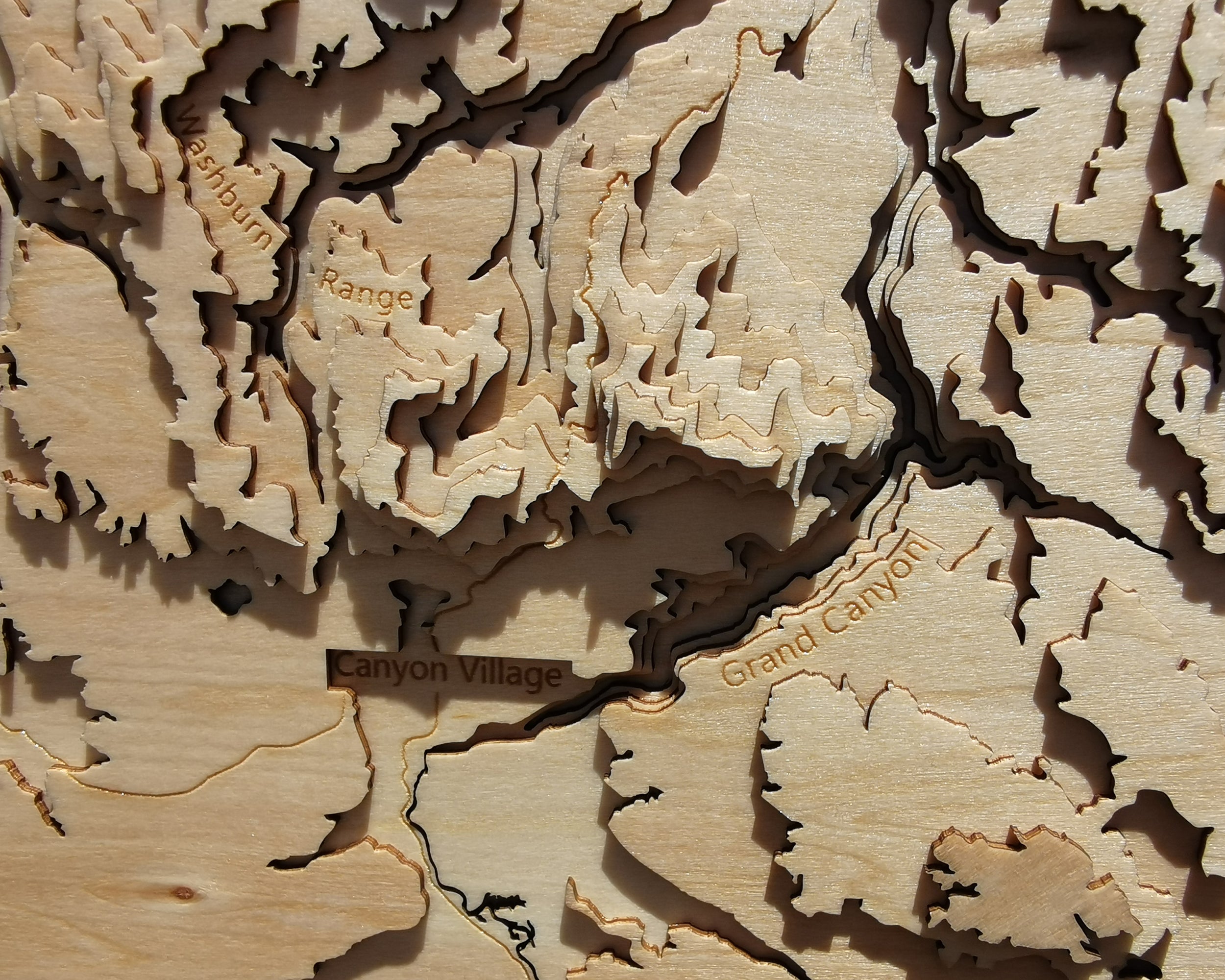 Zoom