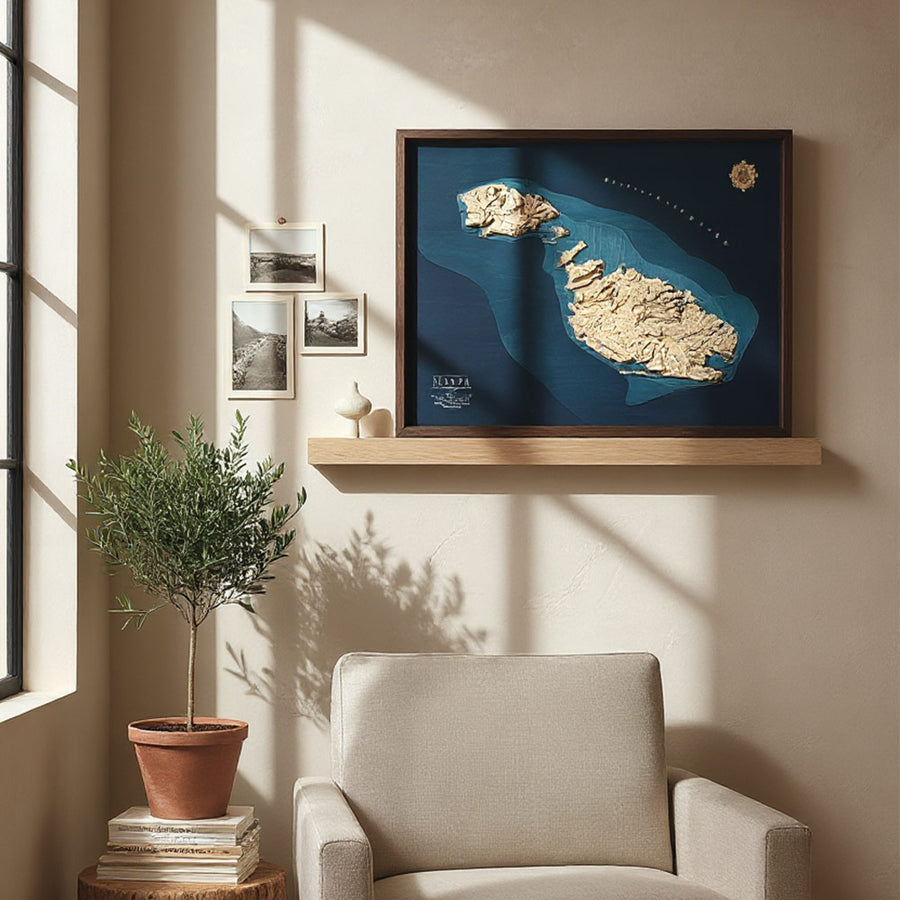 Framed map of Malta on a wall above a chair with a plant next to it.