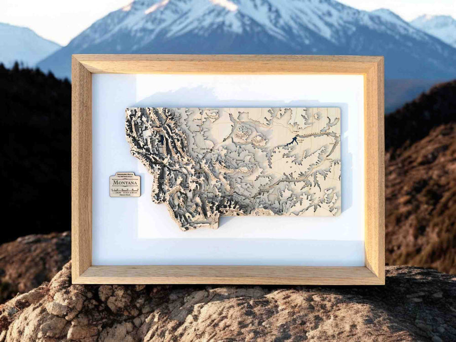 Montana USA Topographic Contour Map In a frame