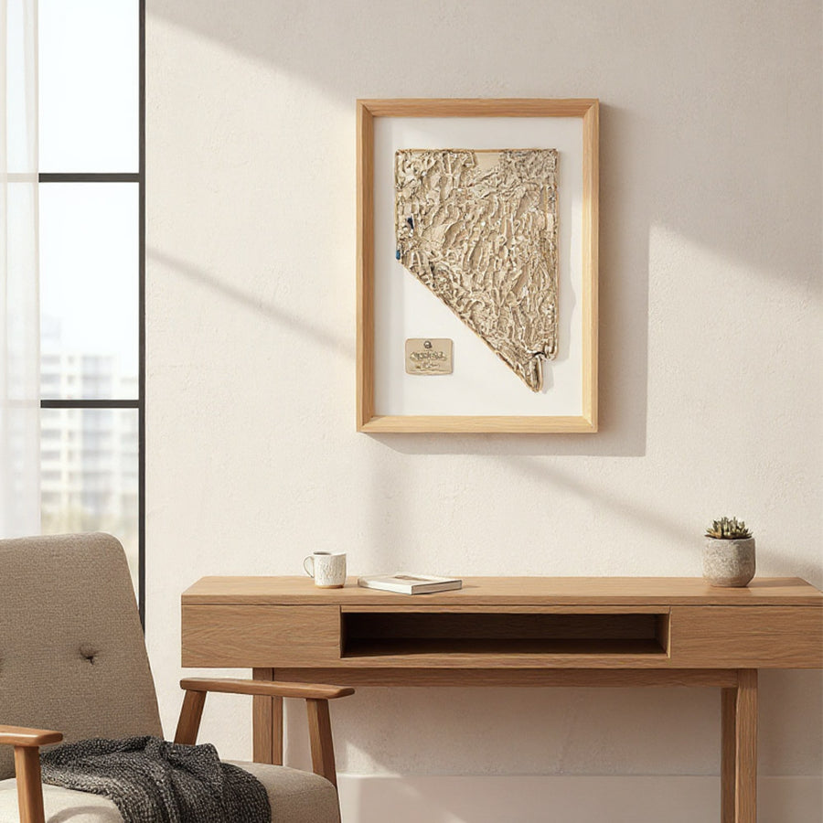 Framed topographic map of the state of Nevada in a living room