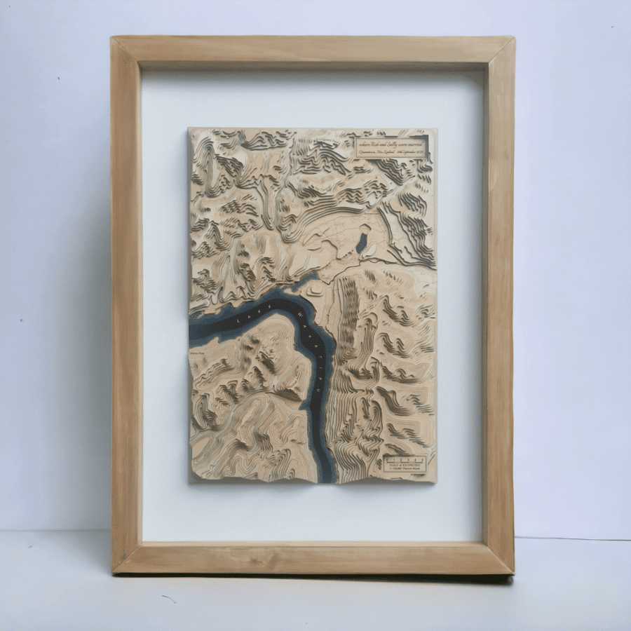 Queenstown NZ Wooden Framed Topographic Map Art