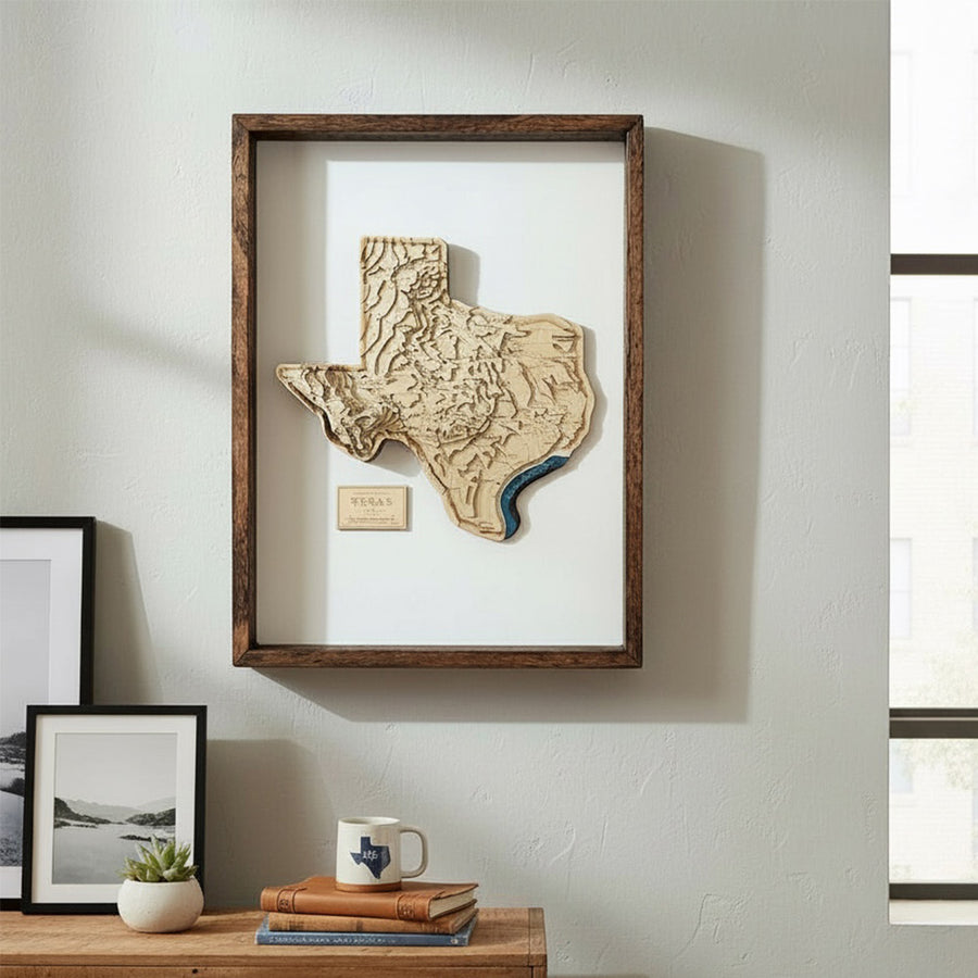 3d contour map of the lone star state