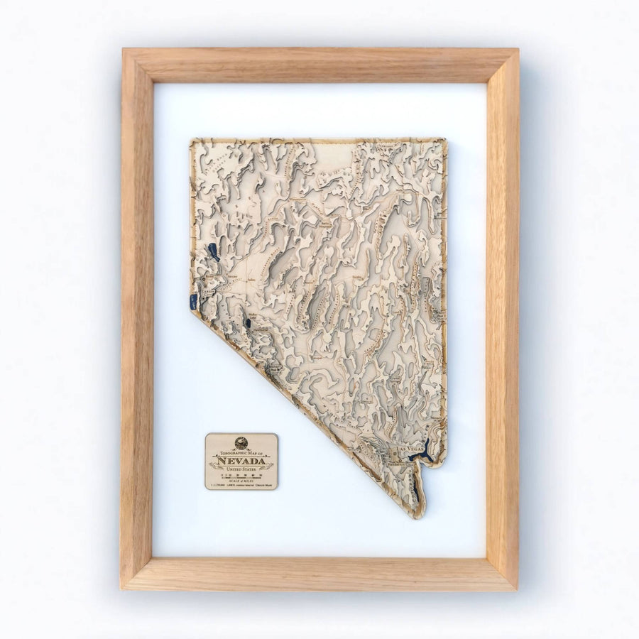 3d contour map art of the state of Nevada