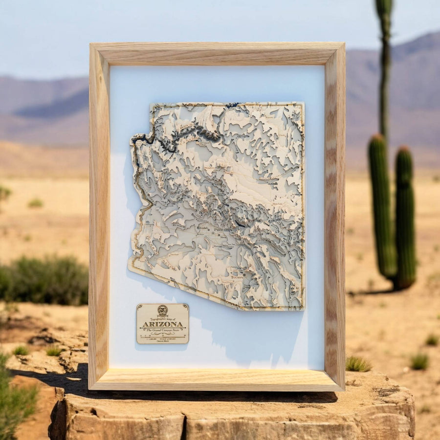 Topographic Contour map of Arizona state of usa with a desert background