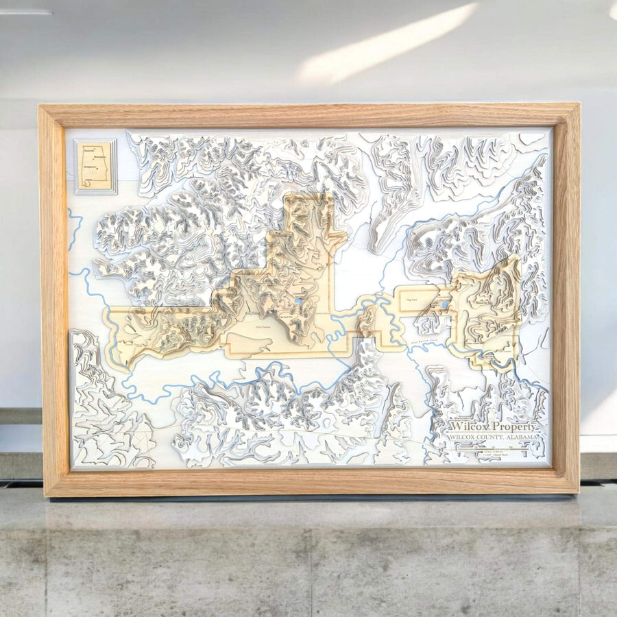 Framed Wooden Raised Relief Property Map Art