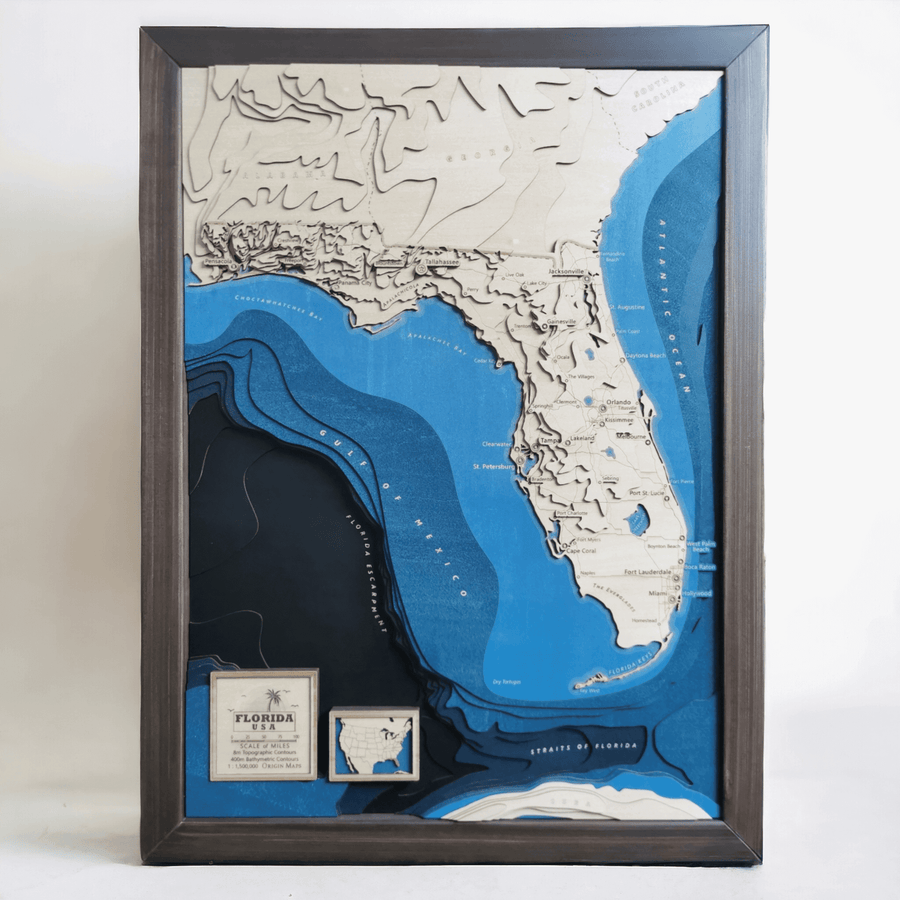 Wooden Topographic Contour Map Art Of Florida USA. It's stained and in a brown frame, perfect for interior decor